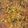 Aqsa mukhtiar's cooksnap of when they made Chana daal.
