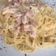 Cooksnap dari Jane Syamtori untuk resep Spaghetti Carbonara