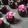 lisa.chen.547's cooksnap of when they made Red Velvet Cake Balls.