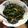 Cooksnap dari Annisa Purnama Sari untuk resep Cah Kangkung Saori Saus Tiram