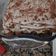 El cooksnap de Ines Rizzetti cuando hizo Tiramisú fácil y rápido de hacer, sin yemas.
