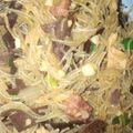 Cooksnap dari Adinda Rally untuk resep Soun jamur hitam/lember