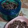 Cooksnap dari Nadyya Irma untuk resep Good time chocochips #35