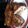 Matthew Graham's cooksnap of when they made Parmesan crusted Stuffed Pork Chops.