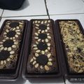 Cooksnap dari RIANI DARMAWANTi untuk resep Brownies panggang almond cips dan oreo
