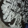 El cooksnap de Guada Rodriguez cuando hizo Brownie con nueces.