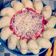 Cooksnap dari elvira Agustina untuk resep Potato Dough Pizza.