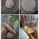 Cooksnap dari Liberty Chaser untuk resep Overnight Rustic Bread(no-knead, without sourdough starter)