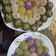 Cooksnap của Xuân Lê khi họ làm theo món Bánh trôi, bánh chay ngũ sắc