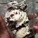Cooksnap dari Lulu Syarif untuk resep Cookies and Cream Ice Cream
