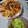 El cooksnap de Vero_Robinson_123561 cuando hizo Nachos caseros.