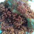 Cooksnap dari Mellawaty untuk resep Ayam Goreng Serundeng