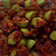 Cooksnap dari Christa Dyah Utami untuk resep Sambal Bawang Pete
