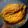 Nandini Mukherjee Ghosh's cooksnap of when they made পাবদা সর্ষে পোস্ত(Pabda sorshe posto recipe in Bengali).