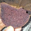 Cooksnap dari Yuli Anda Rina untuk resep Bolu ketan hitam panggang