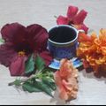 El cooksnap de Lady Marmalade cuando hizo Té de Flor de Jamaica/Hibiscus.