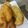 Cooksnap dari Onie Zamronie untuk resep Pisang goreng keju melepuh