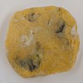 El cooksnap de Sir Quiet Worker cuando hizo Tortilla de patata con verduras al microondas.