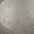 El cooksnap de Patricia Alves Da Costa cuando hizo Strogonoff de Pollo súper Fácil.