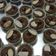 Cooksnap dari Channel Dunia Anak untuk resep Brownies Kering Mini