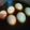 May 的 糖心蛋 cooksnap
