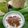 รูป Cooksnap ของ ครัวลุงเยิ้มอยากค่อยทำ เมื่อเขาทำ เปียกสาคูต้น (มะพร้าวอ่อน)