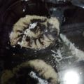 Cooksnap dari Saturday.april_14 untuk resep HURRICANE SWISS ROLL CAKE Lembut (simple step)