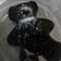 Cooksnap dari Novie Setyawardani untuk resep Choco Lava