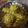 Ripal Jesal Khamar's cooksnap of when they made Ragda Patties.