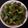 Ketki Dave's cooksnap of when they made ખાટા મીઠા કેપ્સિકમ (Khata Mitha Capsicum Recipe In Gujarati).