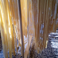 El cooksnap de Karin Clavel cuando hizo Tallarines caseros.