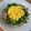 Linda Lin 的 菠菜Q粉炒雞蛋 cooksnap