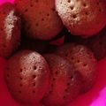 Trish Karuga's cooksnap of when they made Homemade Digestive ginger biscuits.