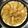 El cooksnap de Cecilia Gamero cuando hizo Torta invertida de Manzana, en sartén essen.