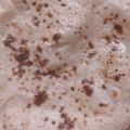 Sahiba का कुकस्नैप जब उन्होंने मुलायम रोटी (Soft roti recipe in hindi) बनाया था।