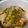 Cooksnap dari sulichati lusiani untuk resep Week 35 : Kerapu Steam Hongkong!