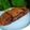 Cooksnap dari Ursula untuk resep Martabak Terang Bulan Anti Gagal dan Anti Ribet