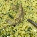 Cooksnap dari LUBNA HASAN SYIHAB untuk resep Soto Ayam Kuah Santan