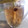 Cooksnap dari Devia Rahma Wati untuk resep Minuman Pelangsing ala Dewi Hughes