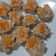 Cooksnap dari Shanti untuk resep Siomay dimsum uenakk...^-^