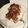 Patrick Ryan's cooksnap of when they made Martha White muffin mix pancakes.