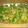 El cooksnap de Lady Marmalade cuando hizo Ensalada saludable 2.