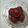 Bhavna Lodhiya's cooksnap of when they made કાલા જામુન (Kala Jamun Recipe In Gujarati).