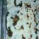 El cooksnap de Karina cuando hizo Canelones de acelga y carne.
