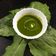 Amee Mankad's cooksnap of when they made ગ્રીન ગ્રેવી (પાલક ગ્રેવી) (Green Gravy Recipe In Gujarati).