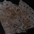 Rajeshwari Bhat's cooksnap of when they made Ragi Dosa with Coconut Chutney (Finger Millet Dosa).