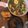 Cooksnap dari Rosalia Septaviana untuk resep Sayur asem betawi
