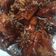 Cooksnap dari cicilia wong untuk resep Chicken wings cola