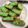 Cooksnap dari Nina untuk resep Chiffon Pandan Keju (gluten free)