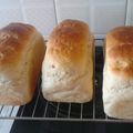 Bochere Elvin's cooksnap of when they made Simple Soft Jiko bread.